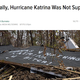 Illustration for article titled Hurricane Katrina Anniversary Pieces: An Exhaustive Guide